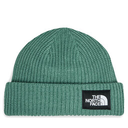 The North Face Mössa The North Face Salty Lined BeanieNF0A3FJWI0F1 Dark Sage
