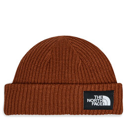 The North Face Mössa The North Face Salty Lined BeanieNF0A3FJWUBC1 Brandy Brown