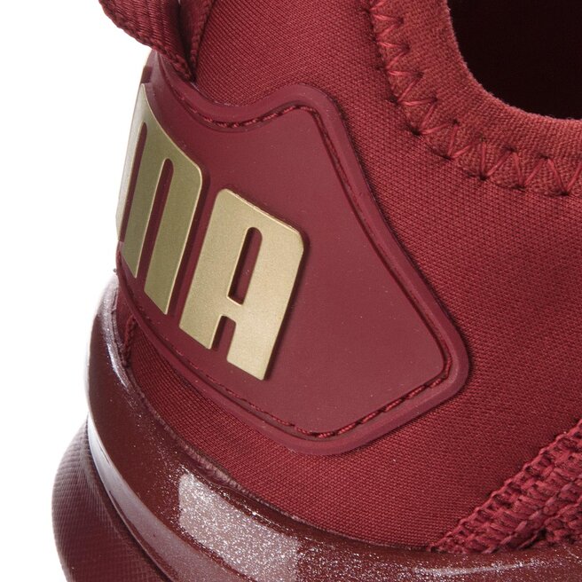 ignite flash varsity